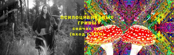 спайс Фёдоровский