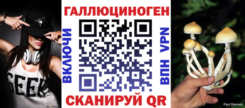 продажа наркотиков  Туран  Галлюциногенные грибы MAGIC MUSHROOMS 